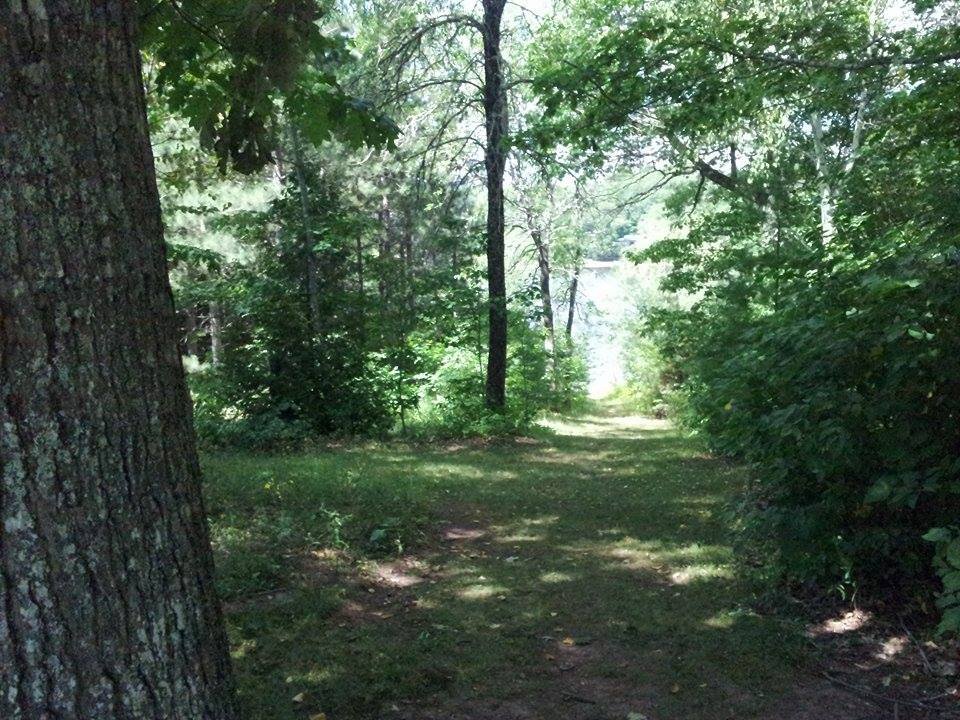 Cambridge Narrows, Pines Conservation area