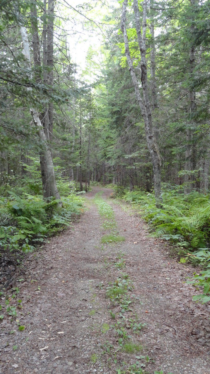 Metepenagiag walking trail