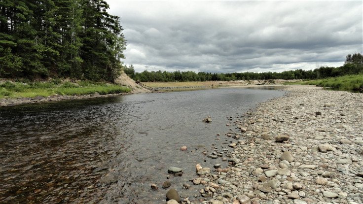 Little Miramichi river