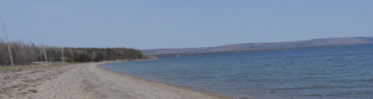 Dundee beach