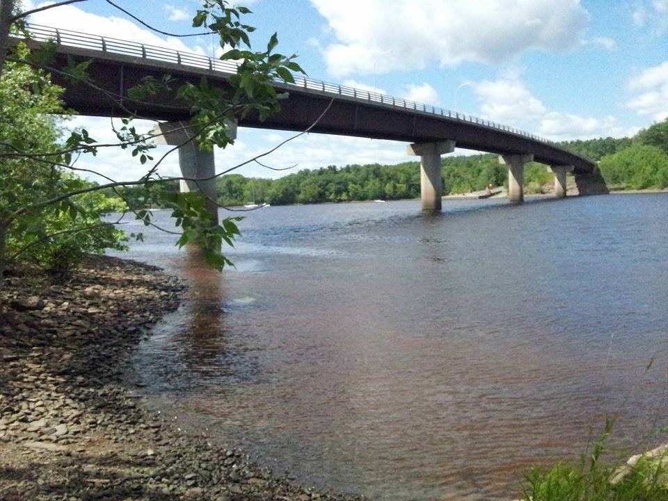 Pines conservation area Cambridge Narrows