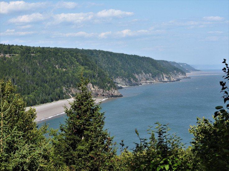from Fownes head look off