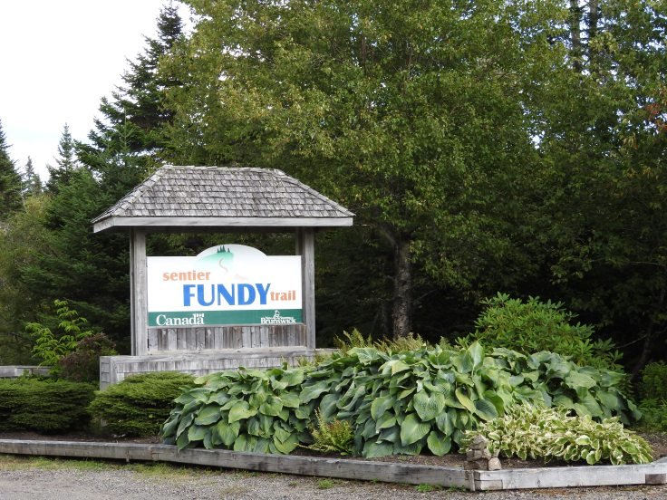 Senitier Fundy Trail 