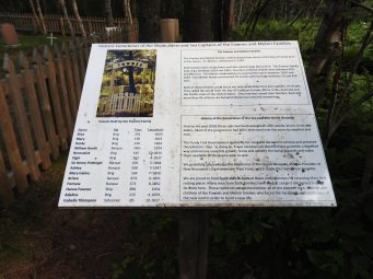 Grave yard discription