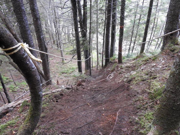 rope assist hill to Long beach brook falls