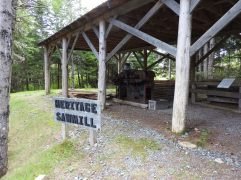 Salmon river saw mill