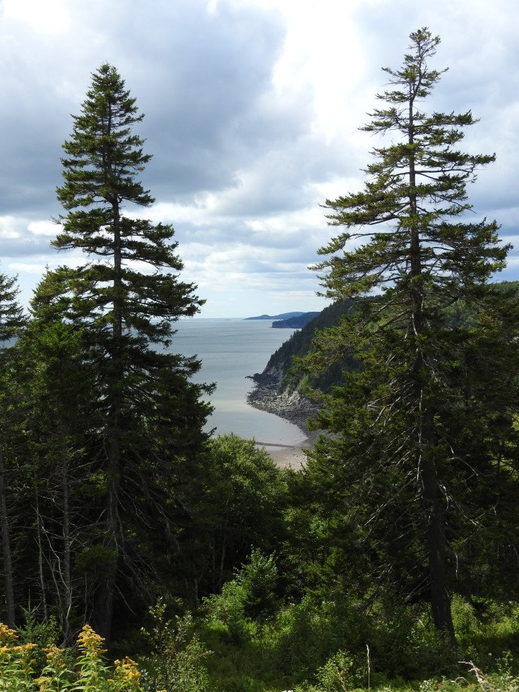Tufts Plateau Lookoff Fundy Trail Parkway
