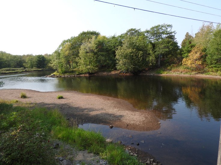 River beside the Darling Island Covered Bridge