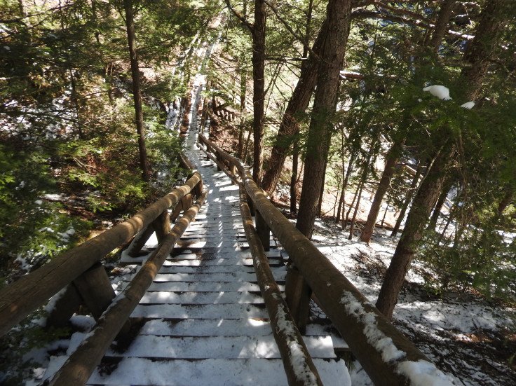 Stairs down to the gorge and water falls