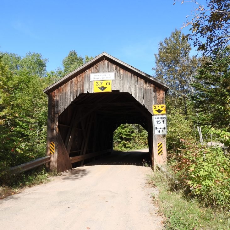 Moores Mill Trout creek #5