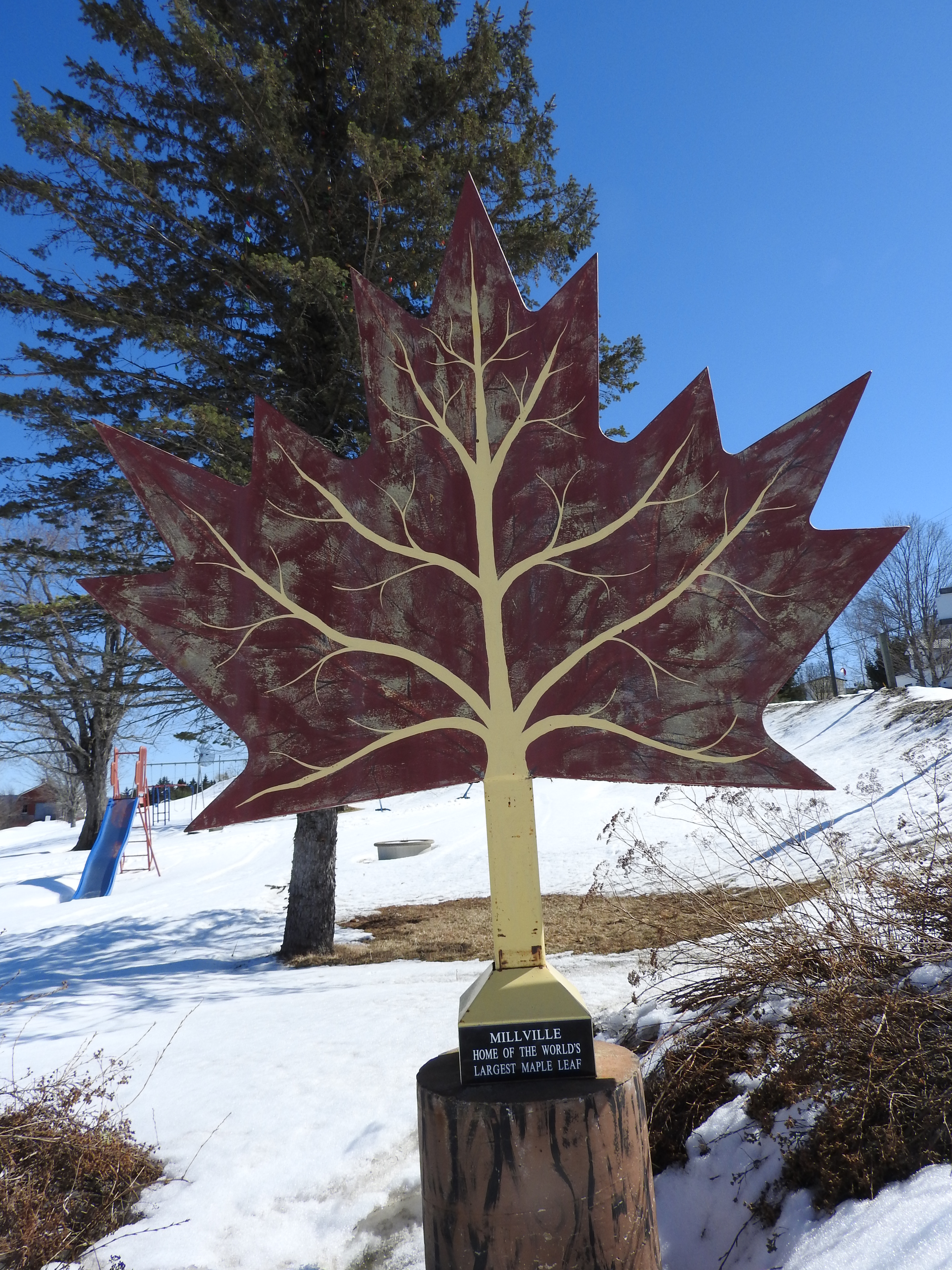worlds Largest Maple Leaf