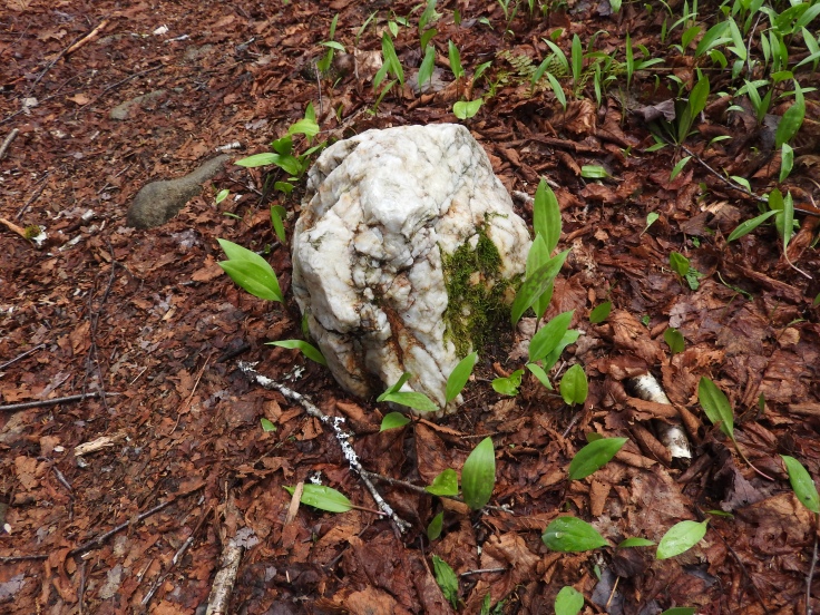 Random chuck of quartz along the trail